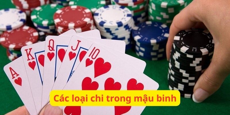 Các loại chi trong mậu binh